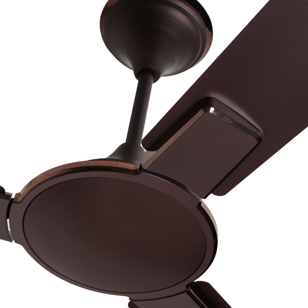 Ceiling Fan Cruiser New